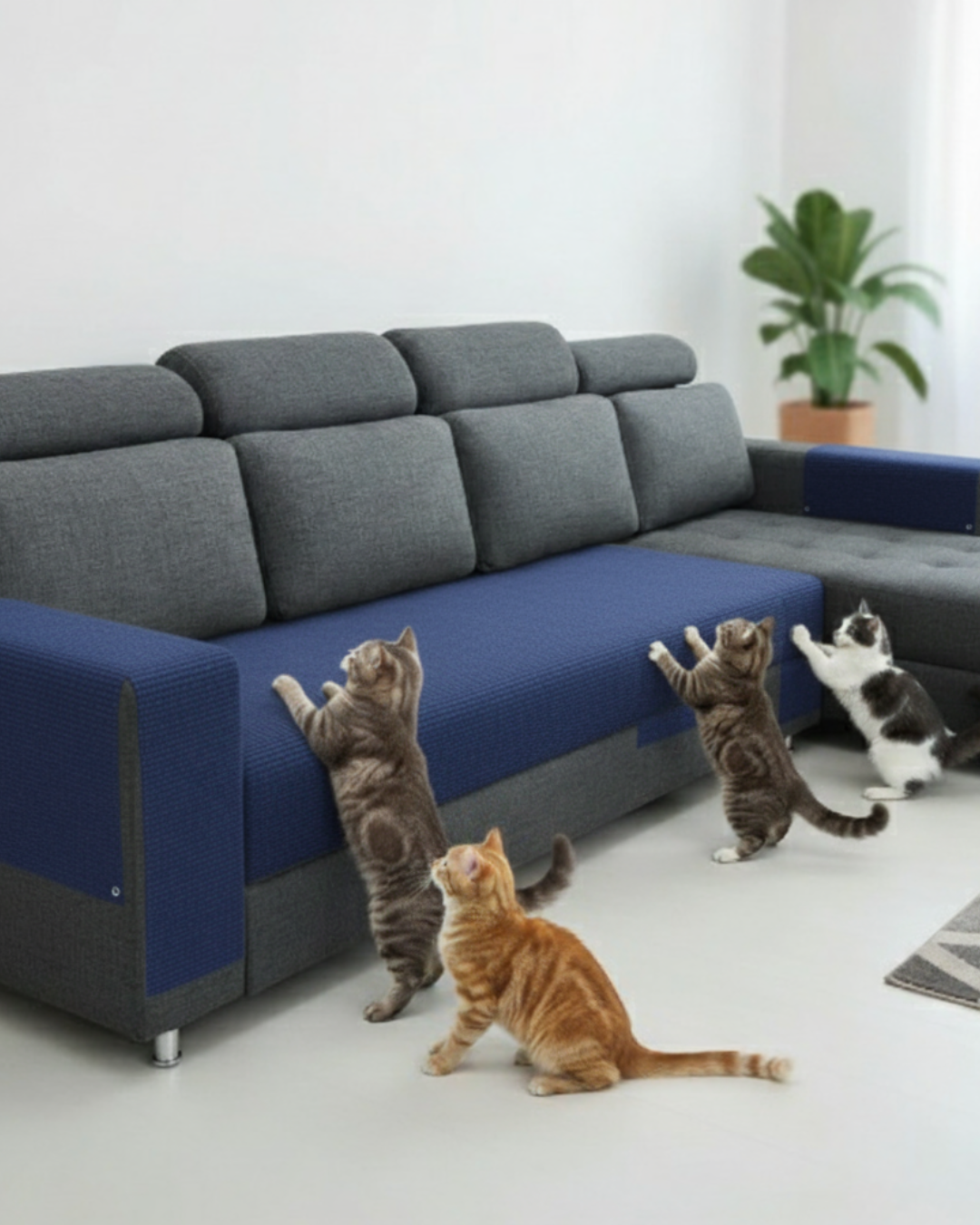 Protector contra arañazos de gatos que cuida tus muebles