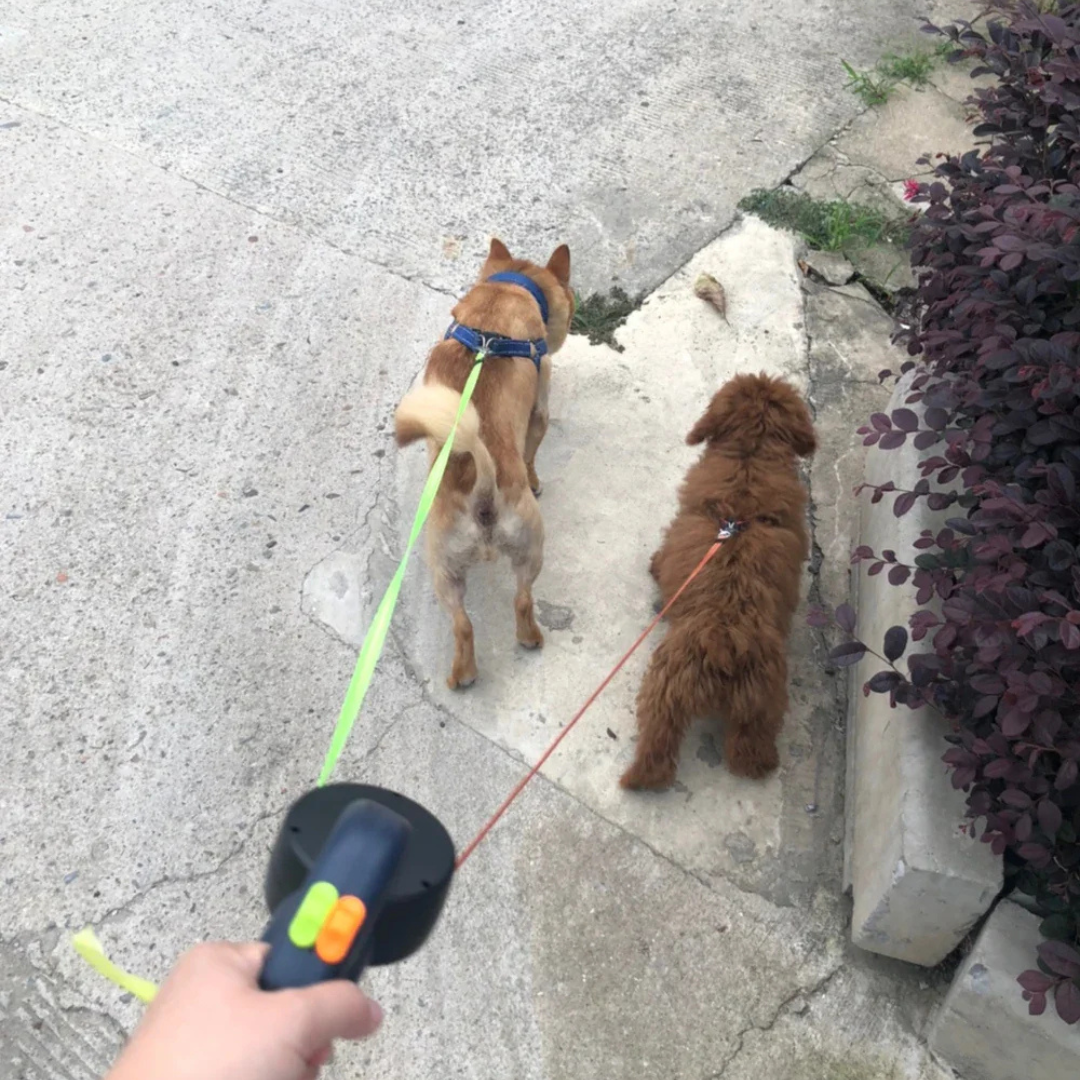 Paseador de Correa Duo para perros con linterna