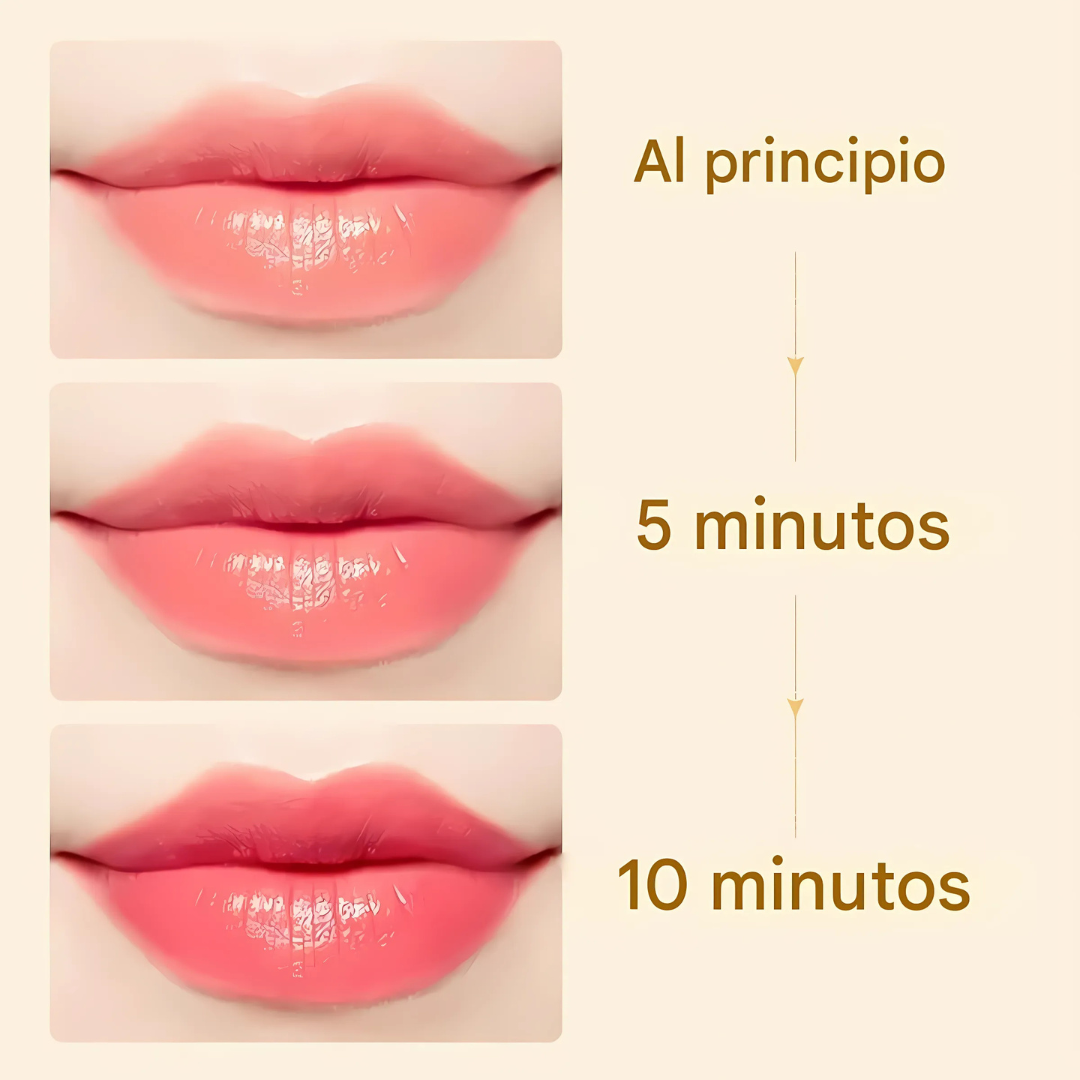 Labial Cremoso Hidratante y Antitransferencia  (OFERTA 2X1)