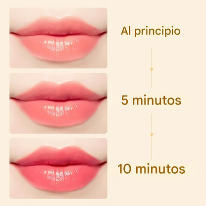 Labial Cremoso Hidratante y Antitransferencia  (OFERTA 2X1)